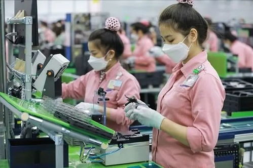 谁抢了越南的订单 出口骤降80 ,42900家工厂停工,日媒揭露真相