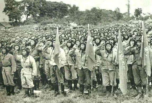 中越战争 越南为何胆敢挑衅实力强大的中国 原因有三点