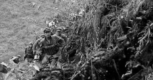 中越战争中的叛徒,父母被他气死,晚年被越抛弃在监狱郁郁而终