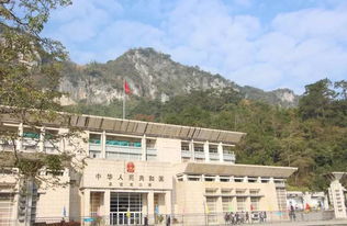 中越合作新篇章 广西小城迸发国际会议新活力