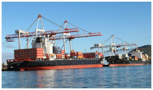 澳洲牛肉禁令与中澳越关系 数据背后的情绪与反思